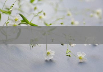 我可以自己批发香烟英文